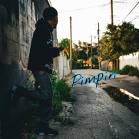 Pimpin - Single - 1800MIJO