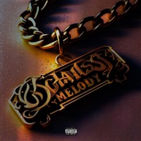 CHAOS MELODY'S - GON!