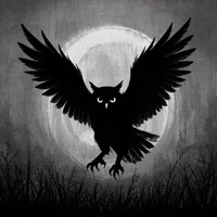 Baile da Coruja - Single - eddy hits