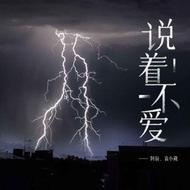 说着不爱 (0.85x) Xiaowei Yuan & 阿辰(阎辰)