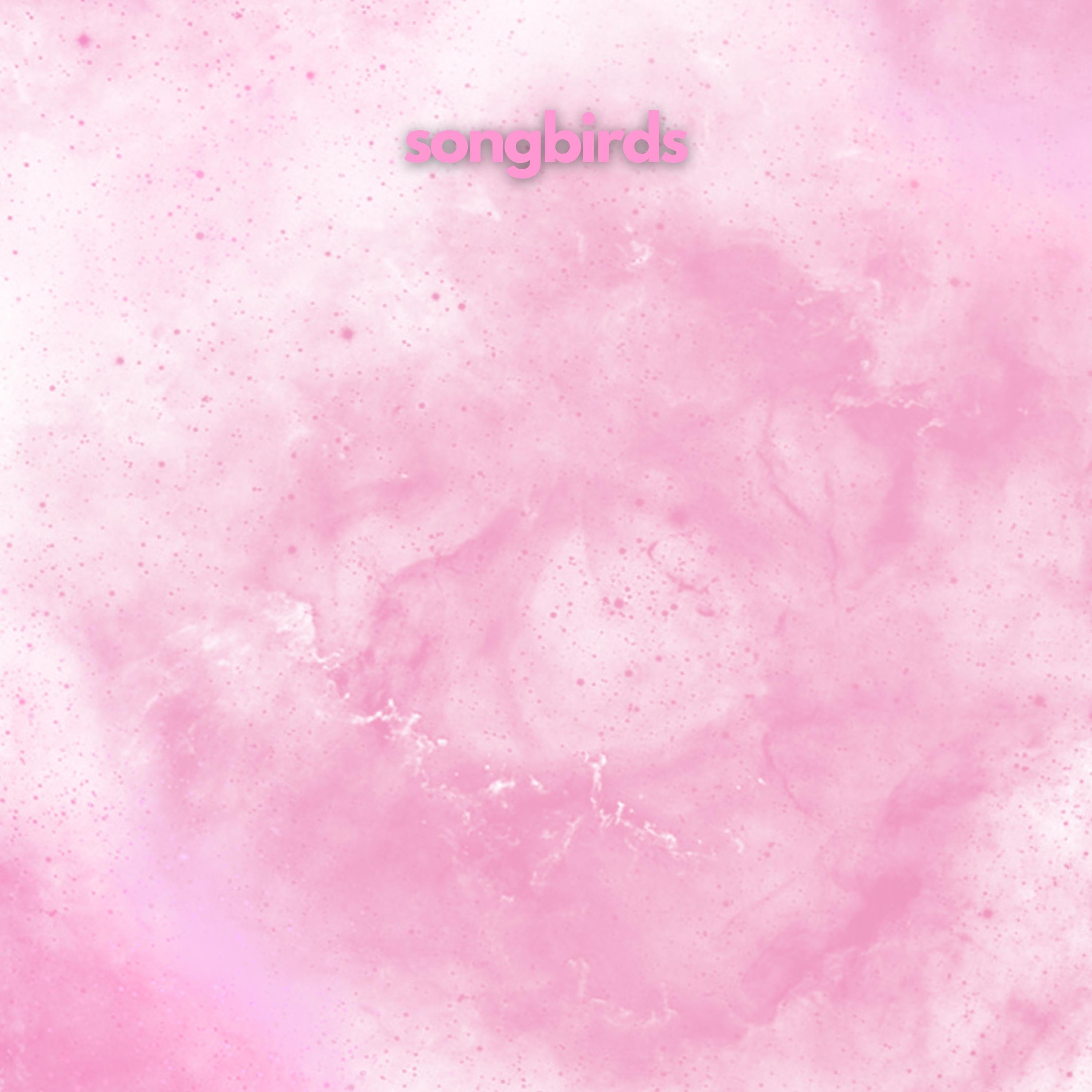 Songbirds - Single