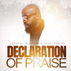 Jesse D. Williams & Total Praise - Declaration of Praise (Live)  artwork