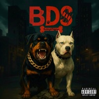 BDS - Single - BobbybPhoolan