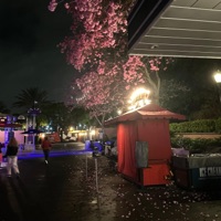 tell em (Jersey Mix) - Single - LionT