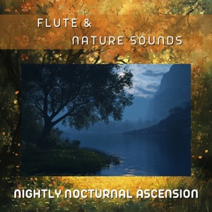 Nightly Nocturnal Ascension