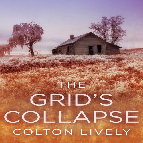 The Grid's Collapse: EMP Survival in a Powerless World, Book 50 (Unabridged) cover