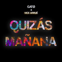 Quizás Mañana (feat. Vice Arrué) - Single - Gato