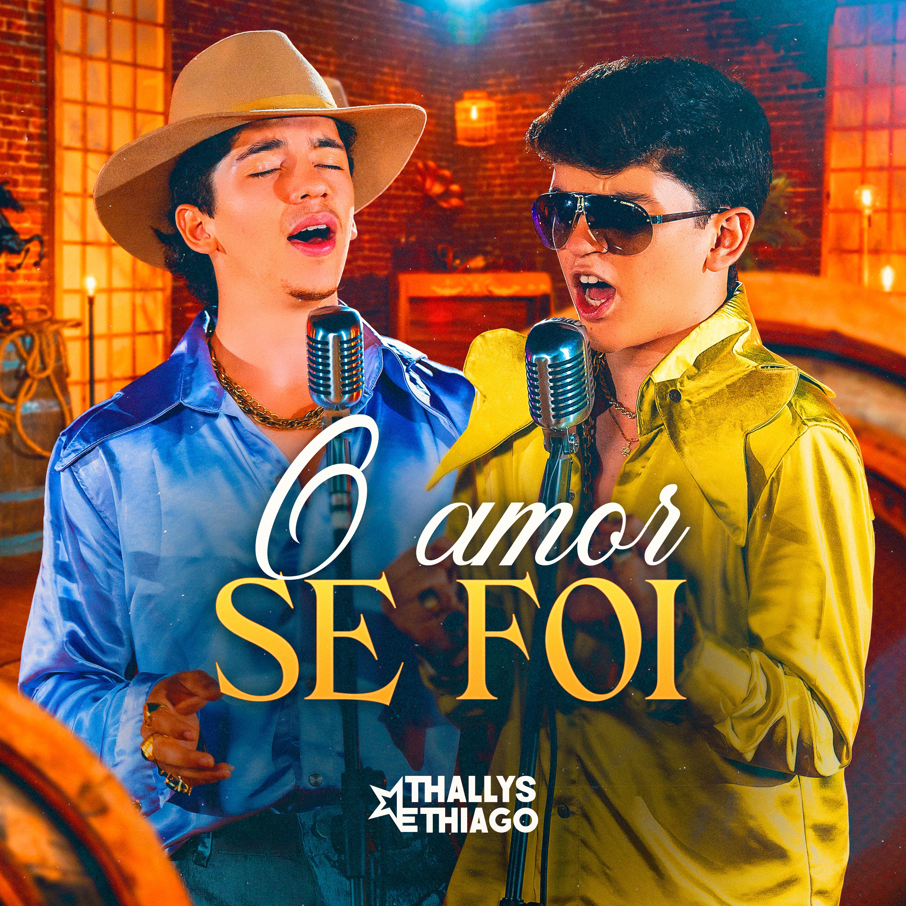O Amor Se Foi - Single