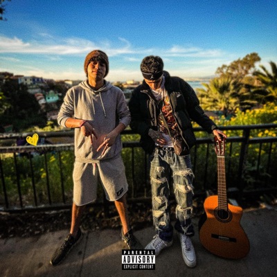 DESAPARECIDA - Single