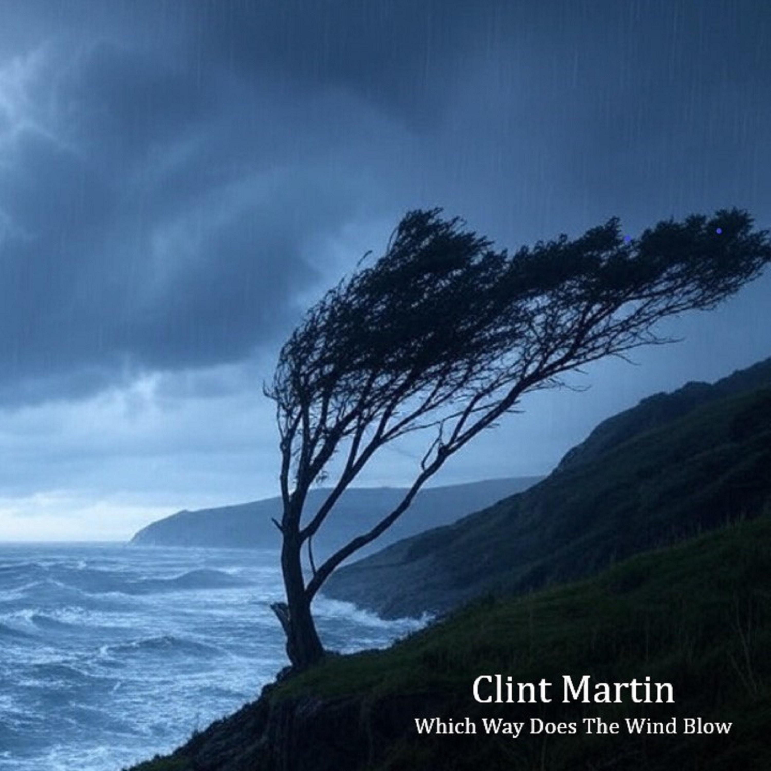 Which Way Does The Wind Blow - Single