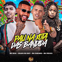 Pau na Xota das Bandida - Single - Gelado No Beat, Mc Daninho, Mc Dricka & MC Rick