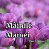 Mainile mamei–