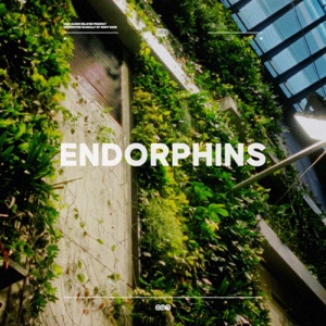 Endorphins - Single