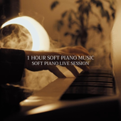 Meraviglia (Live Session)
