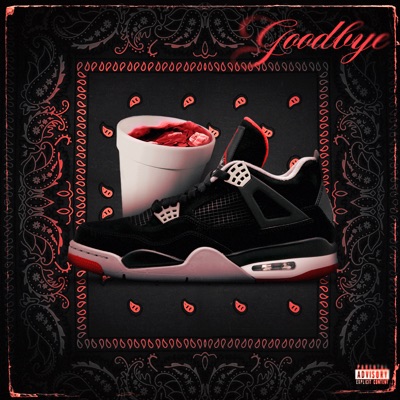 Goodbye - Single