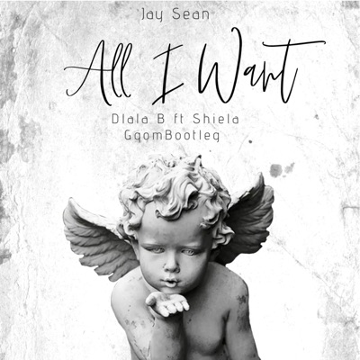 All I Want (feat. Shiela) [GqomBootleg] - Single