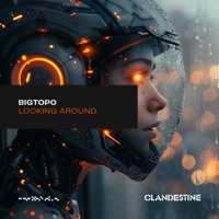 Looking Around - Single - Bigtopo