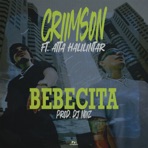 Bebecita - Single