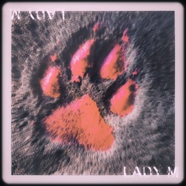 Lady M OK!DYNAMITE & emxbrooks