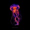 404 - oroodays lyrics