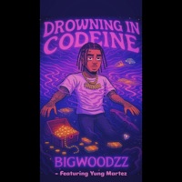 Drowning in codeine (feat. Yung Martez) - Single - Bigwoodzz