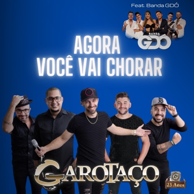 Agora Você Vai Chorar - Single