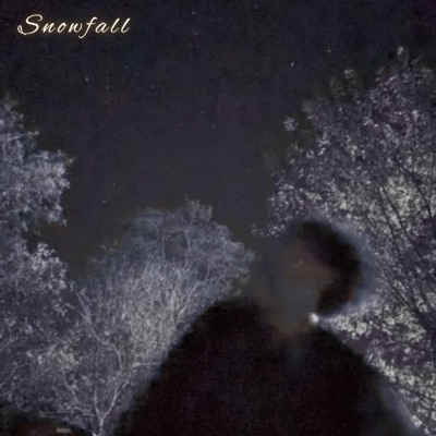Snowfall - Single