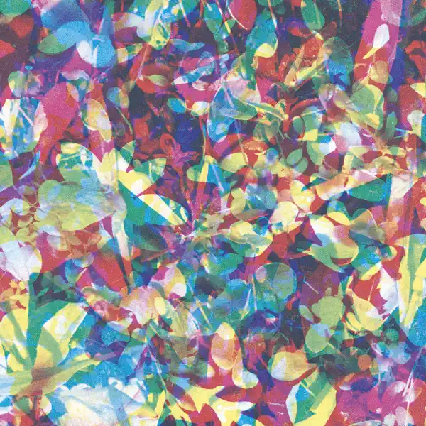 Second Chance — Caribou