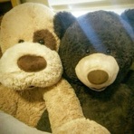 Bestfriend - Single