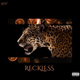 RECKLESS Shaundrevria