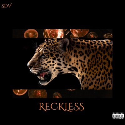 RECKLESS - Single