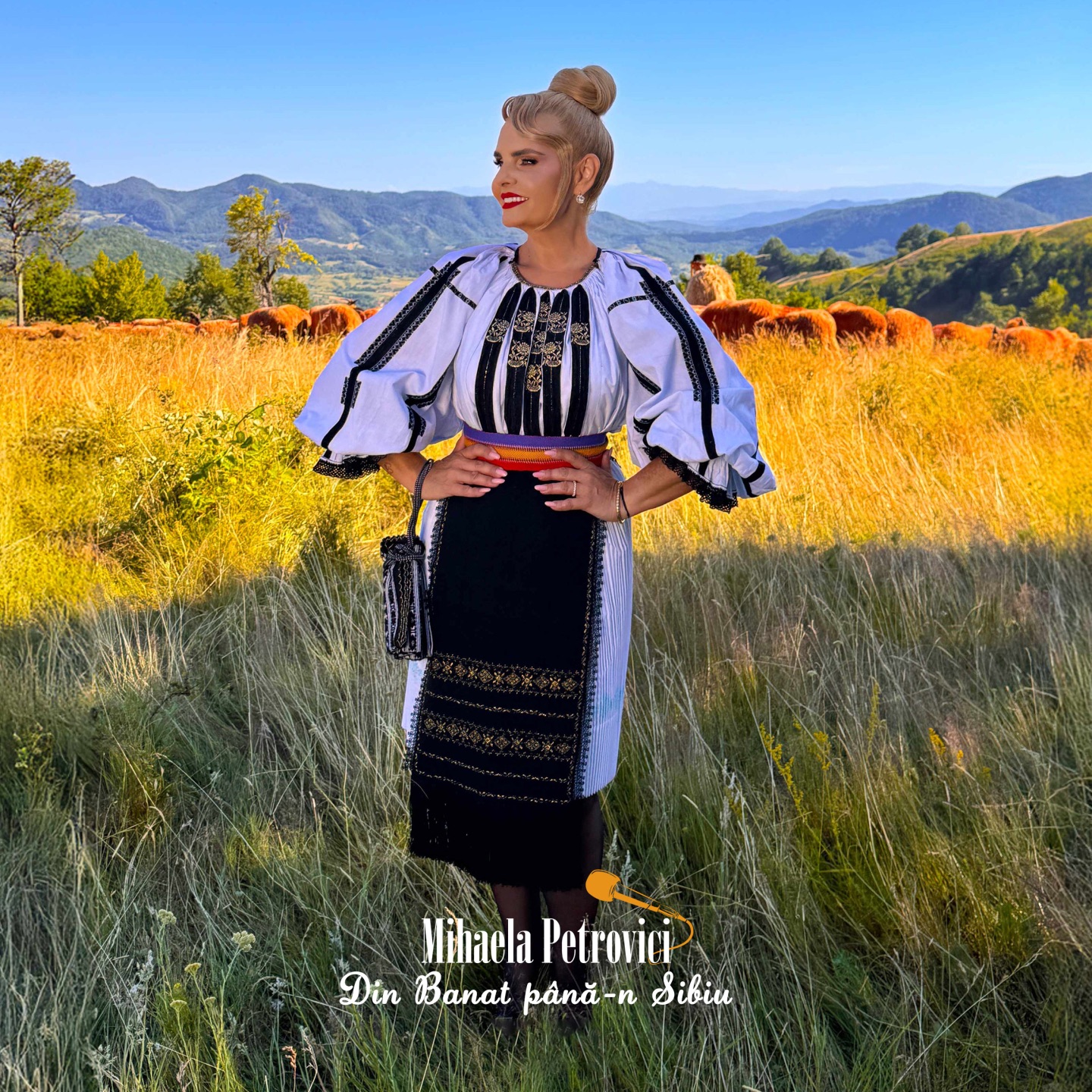 Din Banat până-n Sibiu - Single