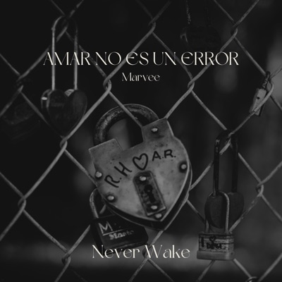 Amar No Es Un Error - Single