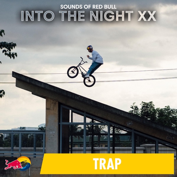 Into the Night XX