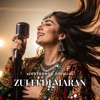 Just Songs - Zulfi De Maran De (Cover Song) 2026