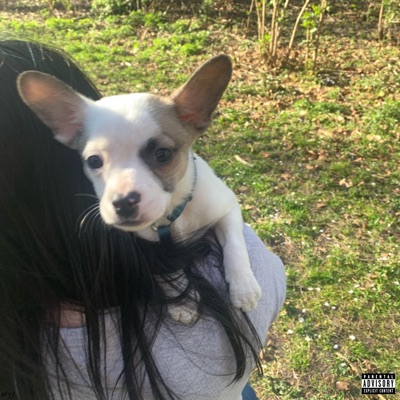 ihatethenewyou (feat. jaak) - Single