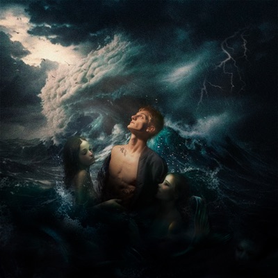 Много чувств