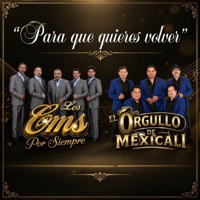 Para que quieres volver - Single
