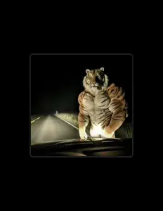 聆聽 m1rax、觀看音樂影片、閱讀小傳、查看巡演日期等！