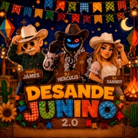 Desande Junino 20 - Single - DJ HERCULIS