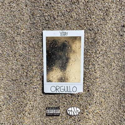 Orgullo (feat. RNP Music) - Single
