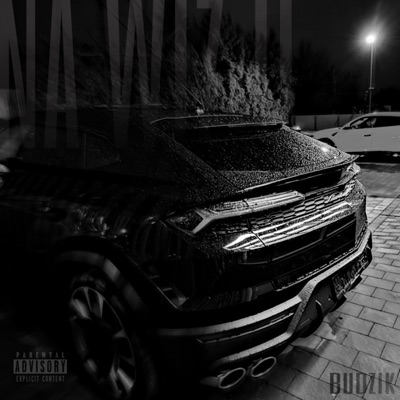 NA WIZJI - Single