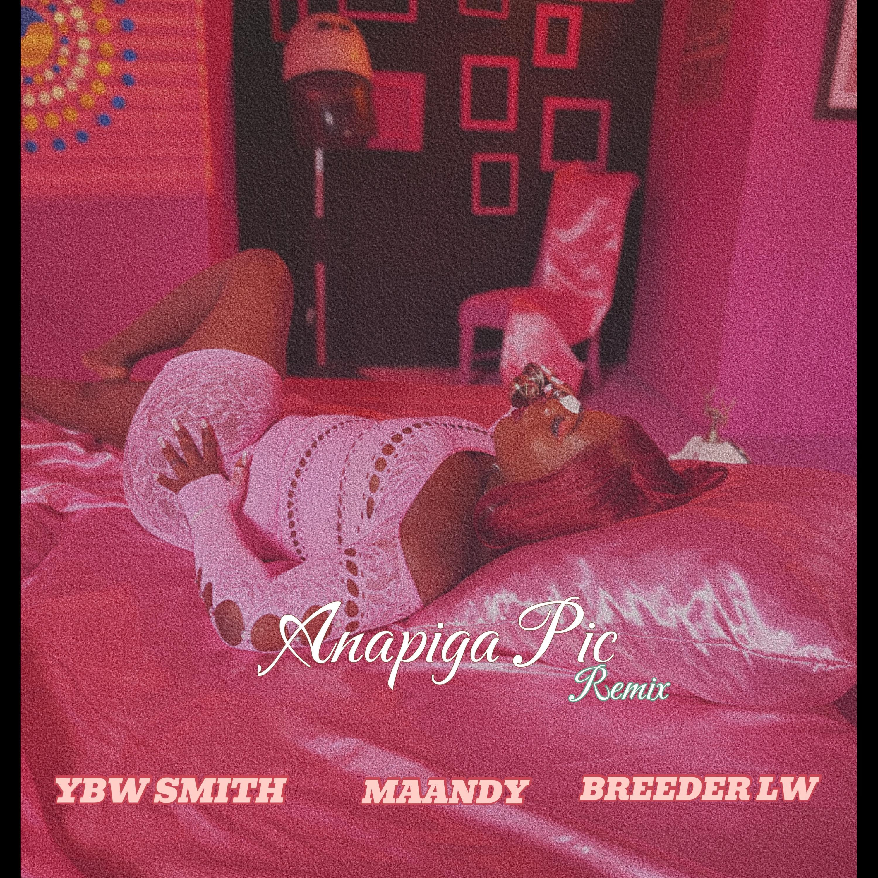 ANAPIGA PIC (feat. YBW Smith & Breeder LW) - Single