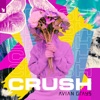 Icon Crush - Single