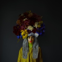 Hybrid Dimension II - The Allegorist