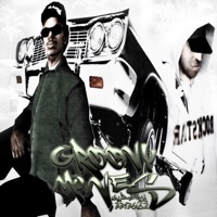 GROOVY MOVES - Single - bezigr