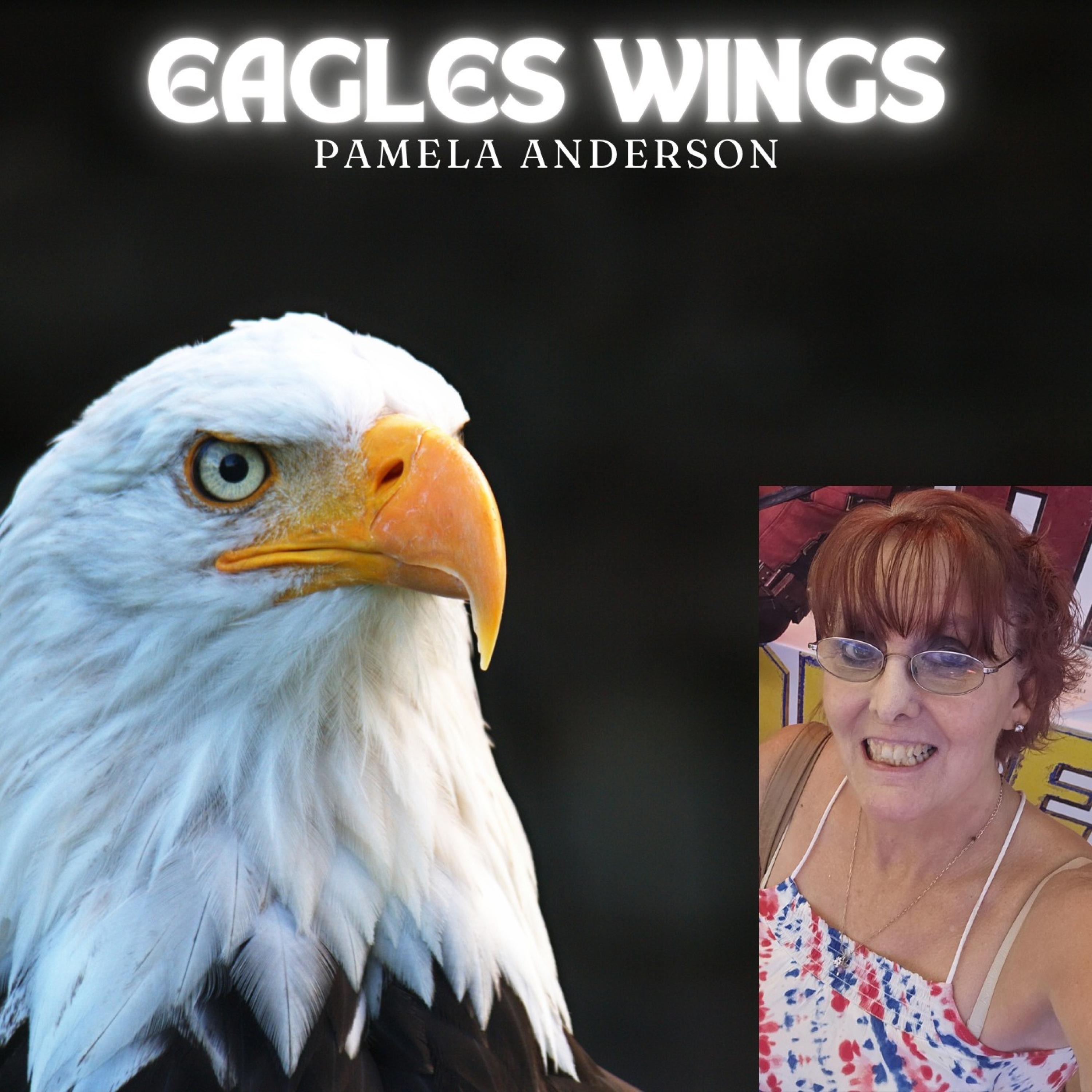 078 Eagles wings - 078 Eagles wings