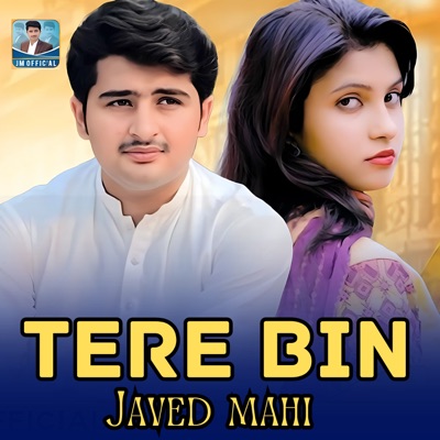 Song - Tere Bin - Javed Mahi