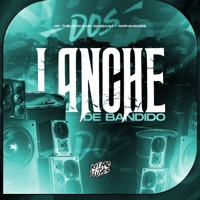 Lanche de Bandido (feat. MC Gaagaah) - Single - MC Theuzyn & RAPHAANJOS
