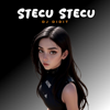 DJ Stecu Stecu - DJ Didit